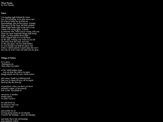 ThreePoems_TomSnarsky screenshot