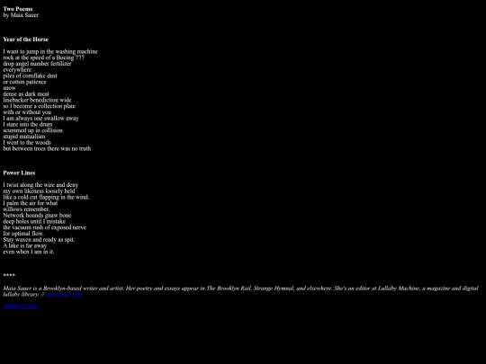 TwoPoems_MaiaSauer screenshot