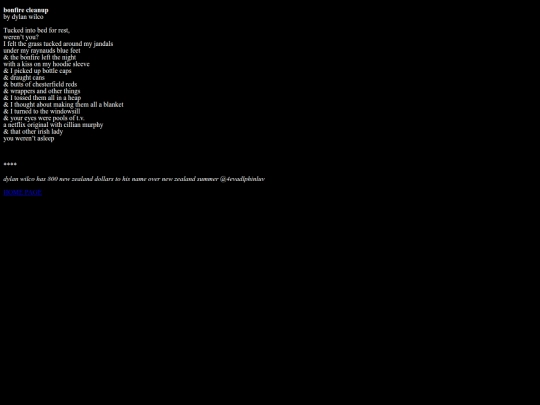 bonfirecleanup screenshot