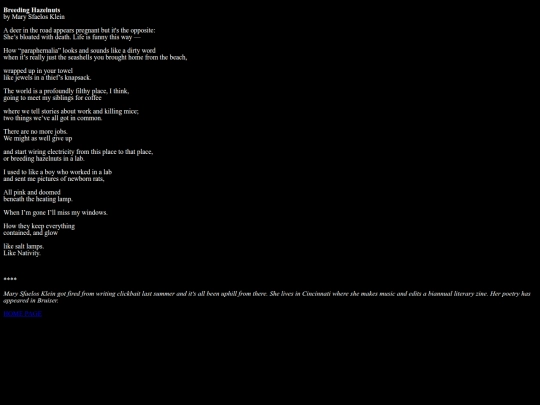 hazelnuts screenshot