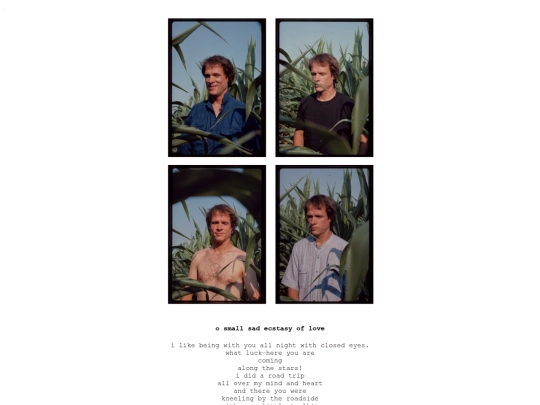 lovepoem screenshot