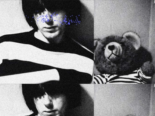 pages/teddy screenshot
