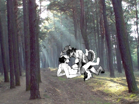 pages/woods screenshot