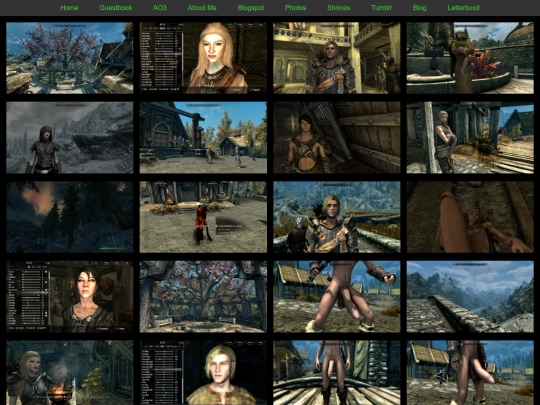 skyrim screenshot