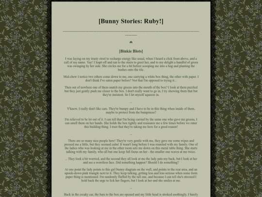 ruby screenshot