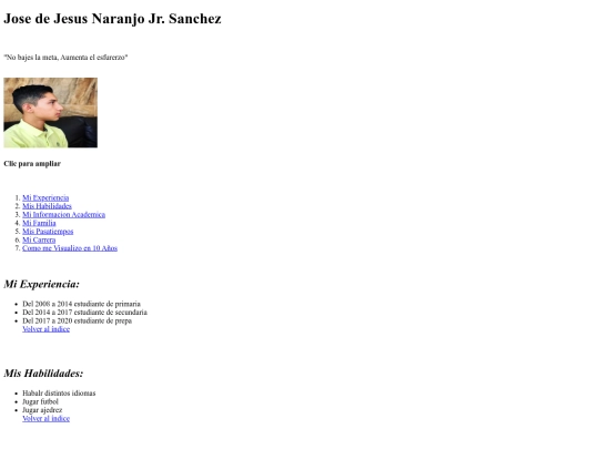 curriculo screenshot