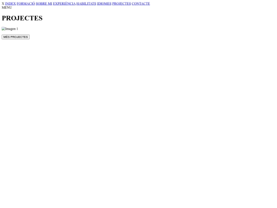 Web_Elisabeth_Romero/Projectes screenshot