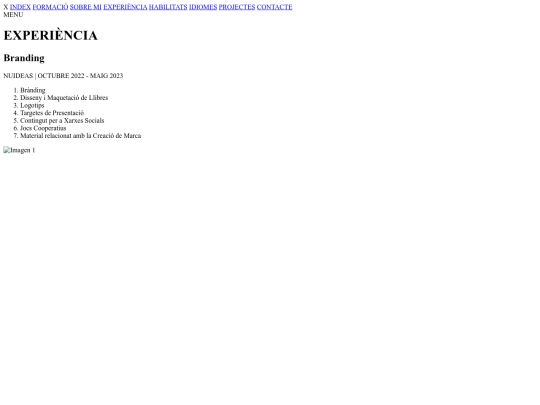 Web_Elisabeth_Romero/experiencia screenshot