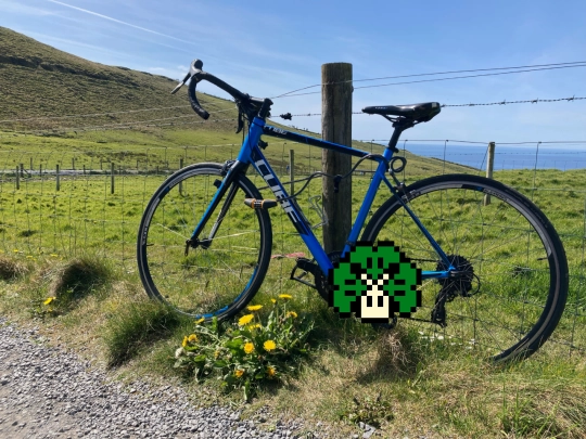 shamrock screenshot