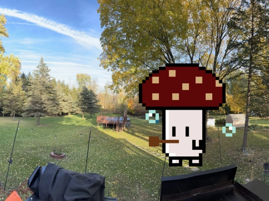 winecap screenshot