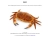 The web site of marmore avatar