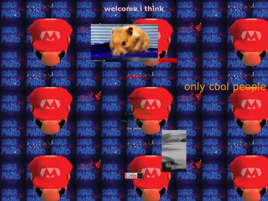 old screenshot