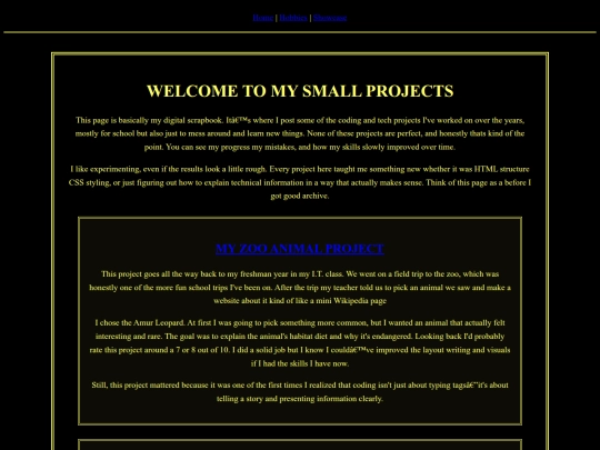 project/showcase screenshot