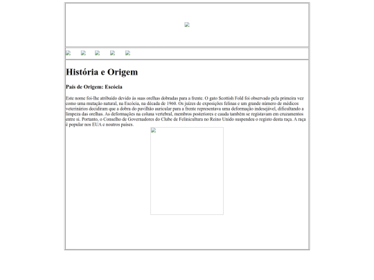 fold screenshot