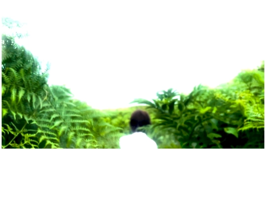 bas screenshot