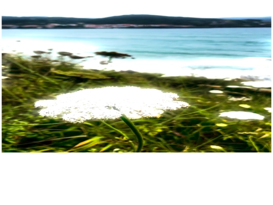 bas2 screenshot