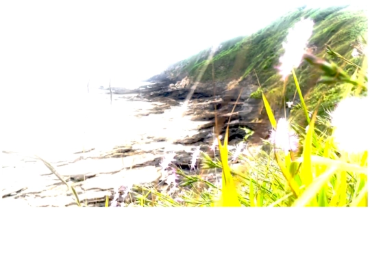bas4 screenshot