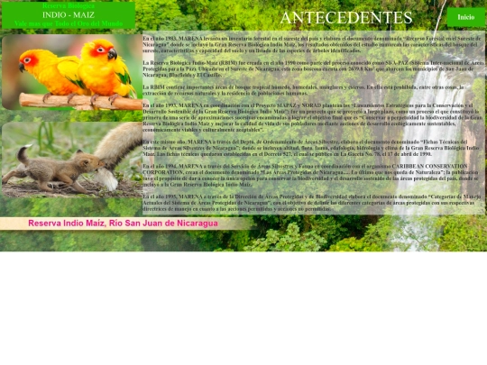 antecedentes screenshot