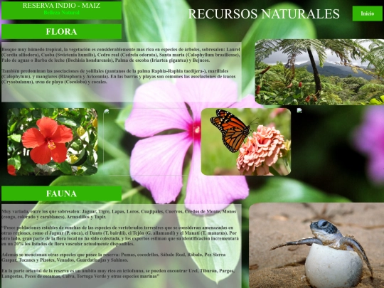 recursos screenshot