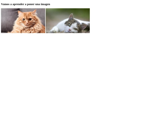 Imagenes 4B.html/imagenes screenshot