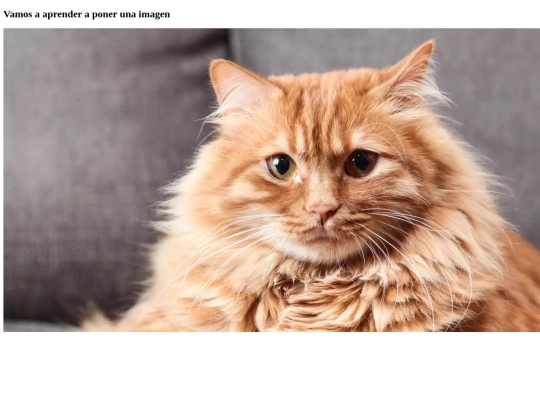 imagenes screenshot