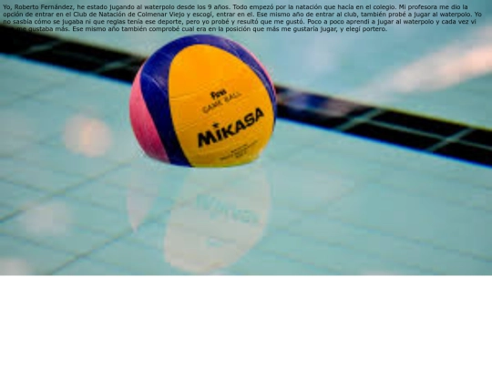 pryecto/html/temalibre/experiencia screenshot