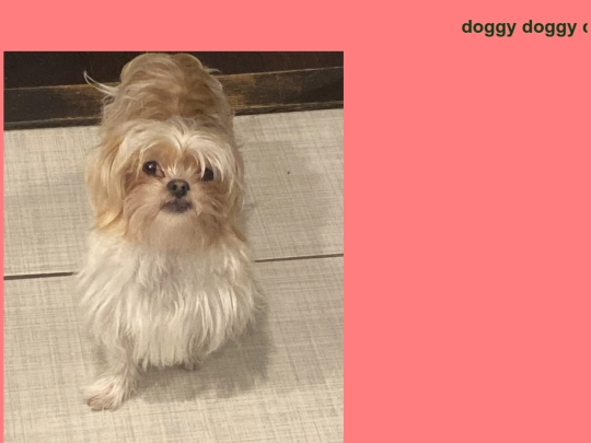 DOG screenshot