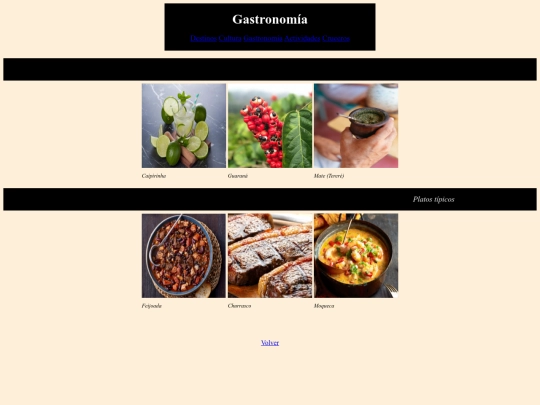 PROYECTO/gastronomia screenshot