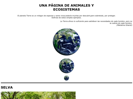 practica 5/practica5 screenshot