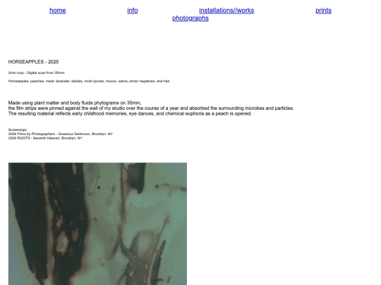 installationsworks/HORSEAPPLES screenshot
