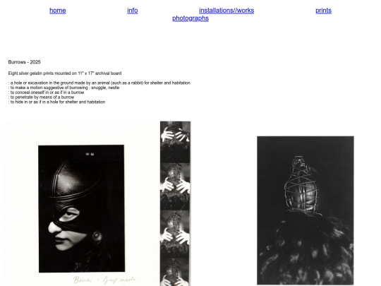 photographs/Burrows/burrows screenshot
