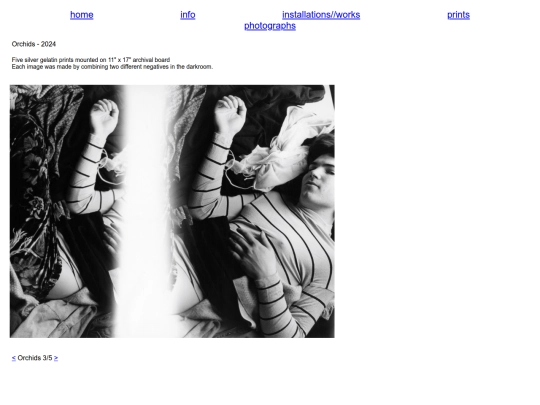photographs/Orchids/orchids3 screenshot