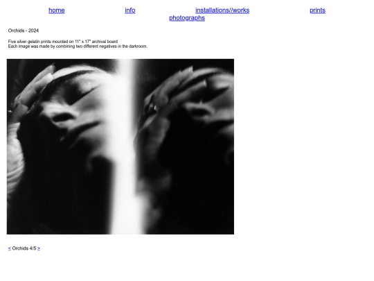 photographs/Orchids/orchids4 screenshot