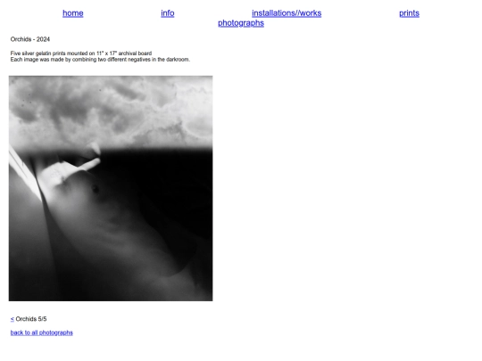 photographs/Orchids/orchids5 screenshot