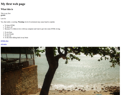 main screenshot