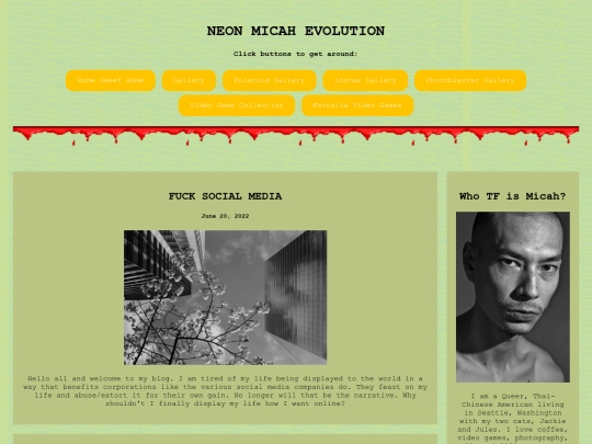 blog screenshot