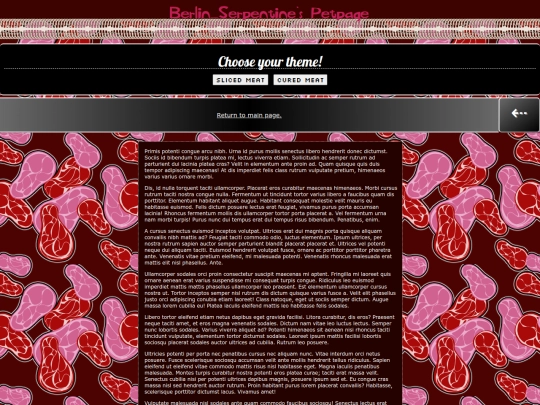 BerlinSerpentineTestingPage screenshot