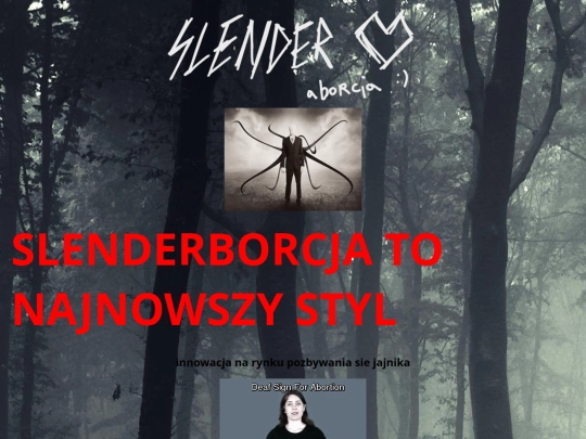 slenderborcja screenshot