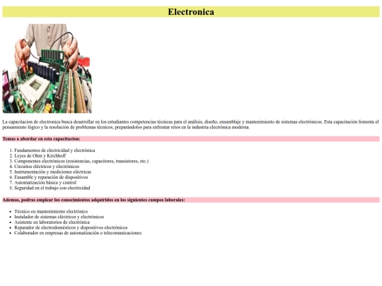 HTML KARLA Y/electronica screenshot