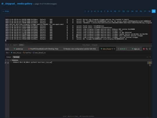 tinygrad-archive/gallery_19 screenshot