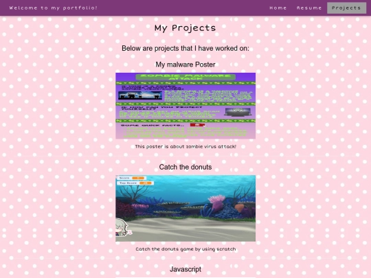 portfolio/projects screenshot