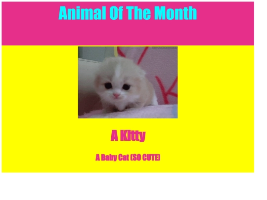 AWESOME+WEBSITE/animalmonth screenshot