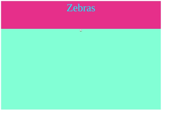 AWESOME+WEBSITE/zebra screenshot
