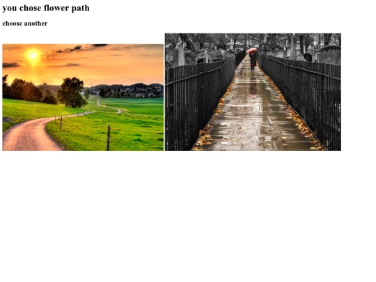flowerpath screenshot