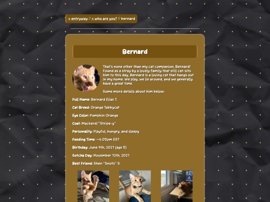 cat screenshot