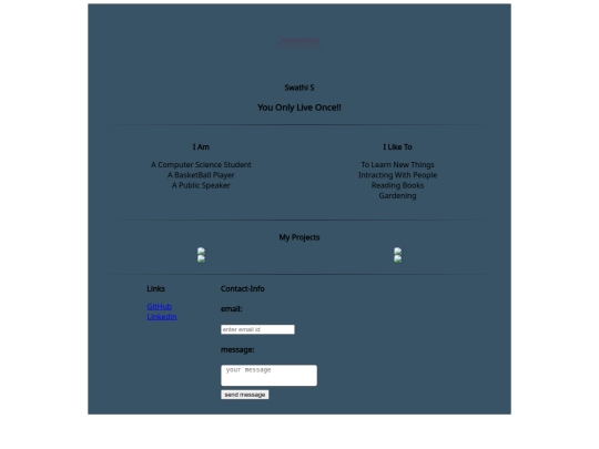 my portfolio screenshot