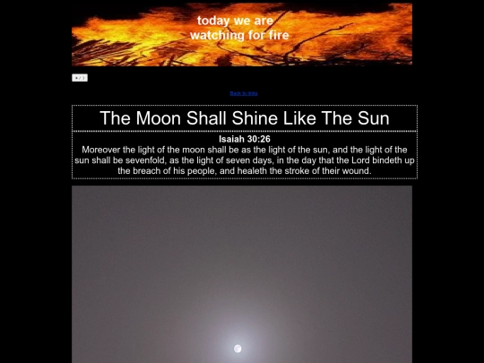 moonshinelikesun screenshot