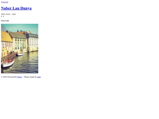 denek/posts/naber-lan-dunya screenshot