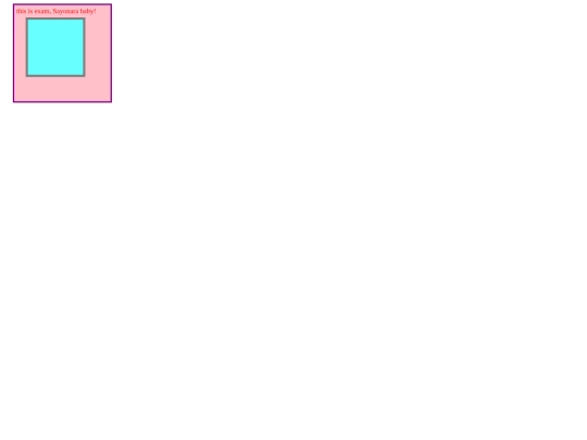 examen.html/caixes screenshot