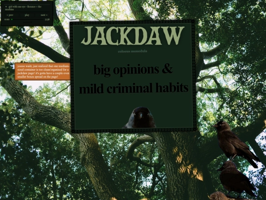 pages/jackdaw screenshot